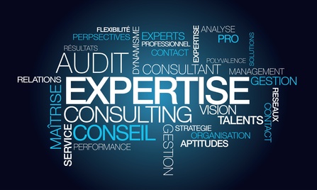 Logo expertise Logo expertise